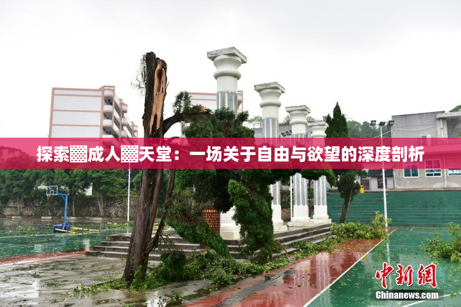 探索▓成人▓天堂：一场关于自由与欲望的深度剖析