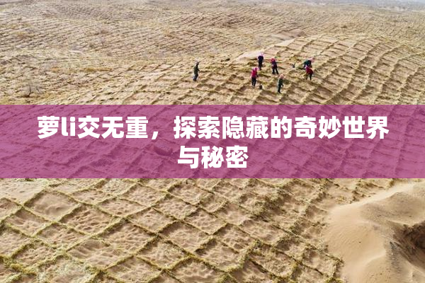 萝li交无重，探索隐藏的奇妙世界与秘密