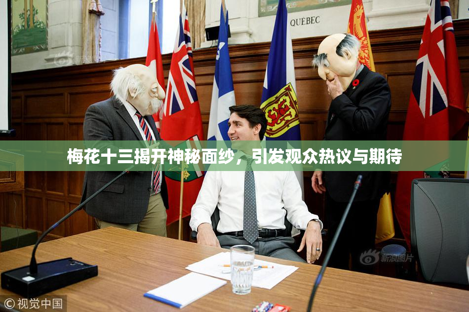 梅花十三揭开神秘面纱，引发观众热议与期待