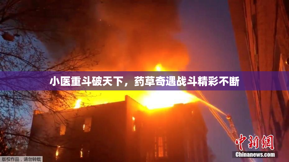 小医重斗破天下，药草奇遇战斗精彩不断