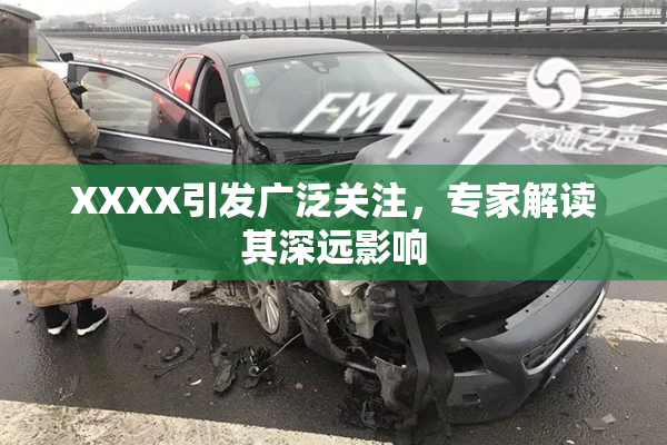 XXXX引发广泛关注，专家解读其深远影响