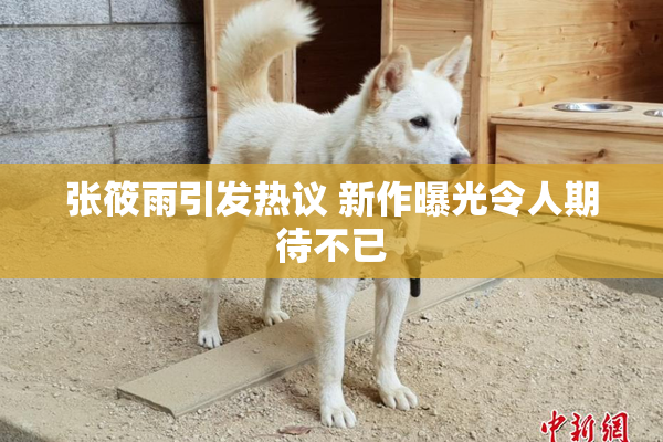 张筱雨引发热议 新作曝光令人期待不已