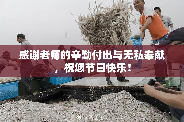 感谢老师的辛勤付出与无私奉献，祝您节日快乐！