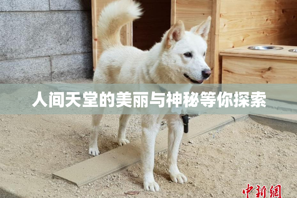 人间天堂的美丽与神秘等你探索