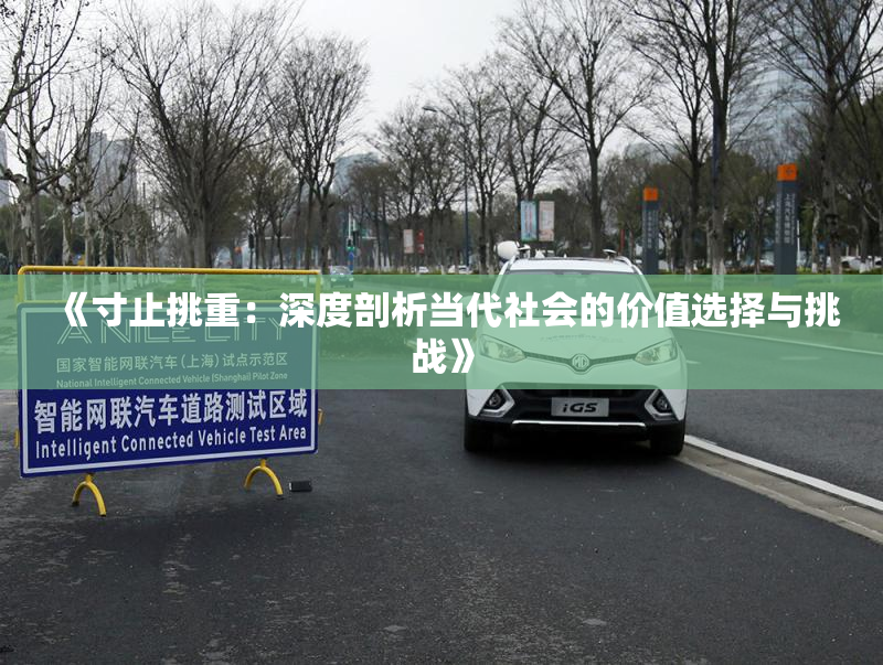 《寸止挑重：深度剖析当代社会的价值选择与挑战》