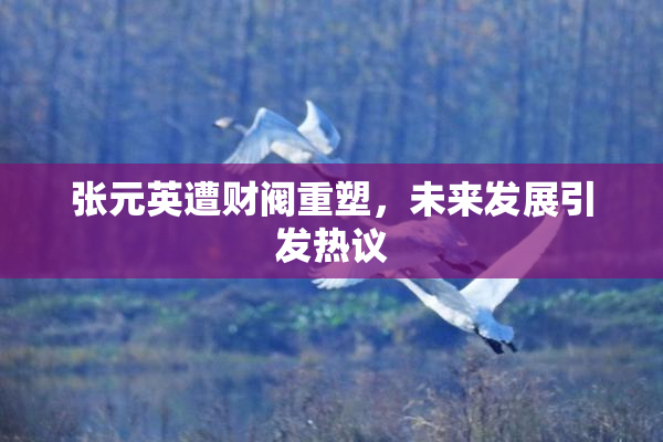 张元英遭财阀重塑，未来发展引发热议