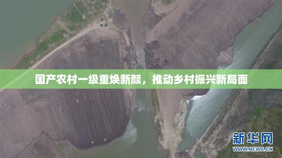 国产农村一级重焕新颜，推动乡村振兴新局面
