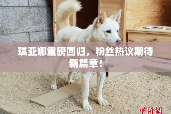 琪亚娜重磅回归，粉丝热议期待新篇章！