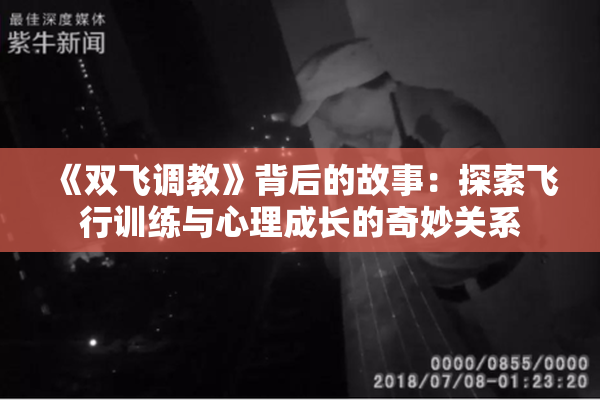 《双飞调教》背后的故事：探索飞行训练与心理成长的奇妙关系