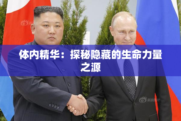 体内精华：探秘隐藏的生命力量之源