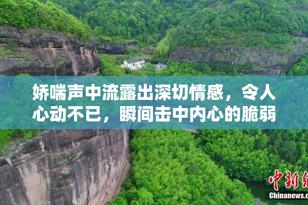 娇喘声中流露出深切情感，令人心动不已，瞬间击中内心的脆弱。