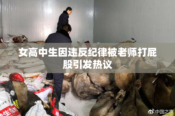 女高中生因违反纪律被老师打屁股引发热议