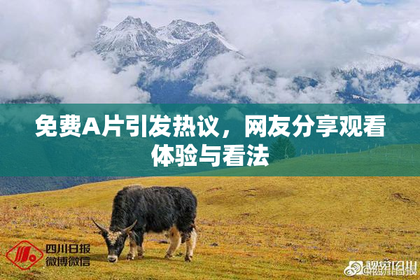 免费A片引发热议，网友分享观看体验与看法