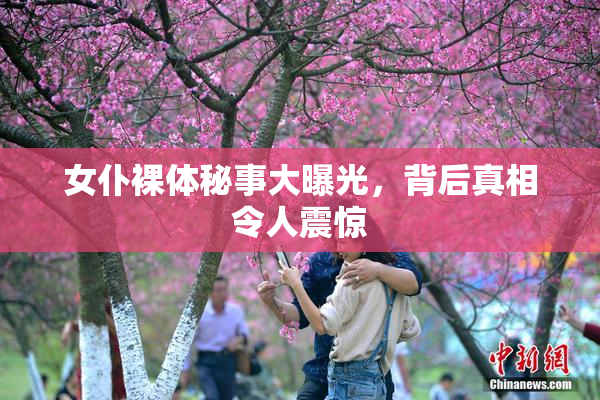 女仆裸体秘事大曝光，背后真相令人震惊