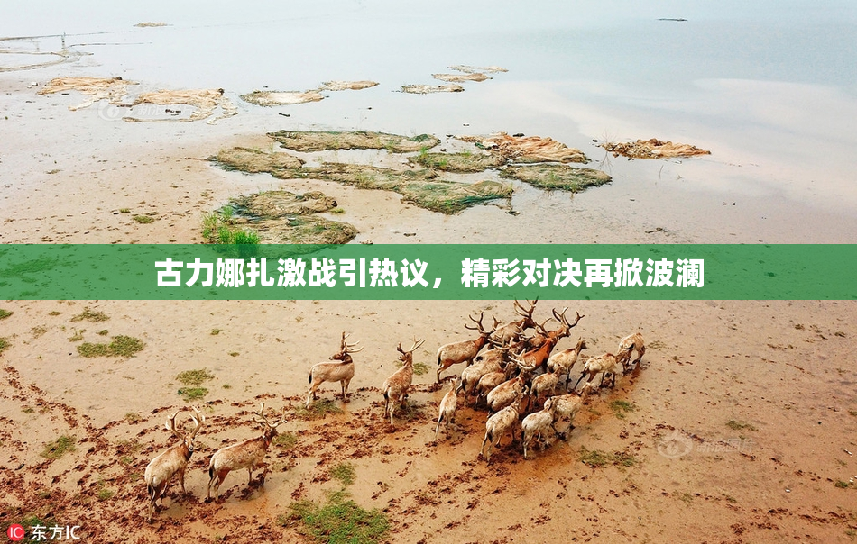 古力娜扎激战引热议，精彩对决再掀波澜