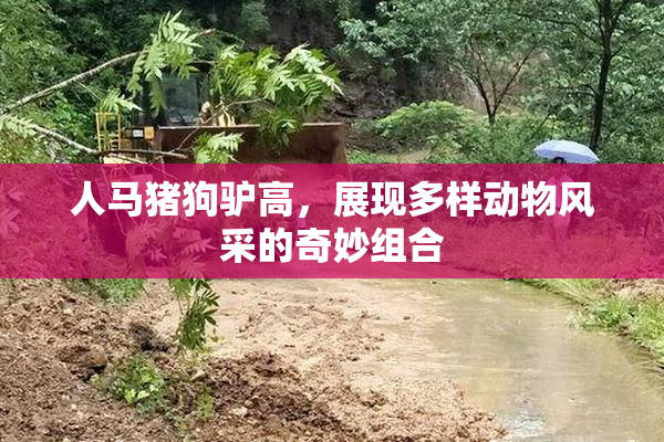 人马猪狗驴高，展现多样动物风采的奇妙组合