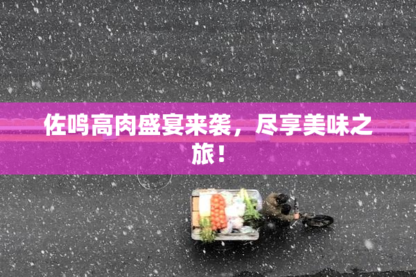 佐鸣高肉盛宴来袭，尽享美味之旅！