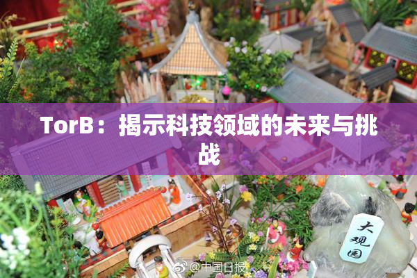 TorB：揭示科技领域的未来与挑战