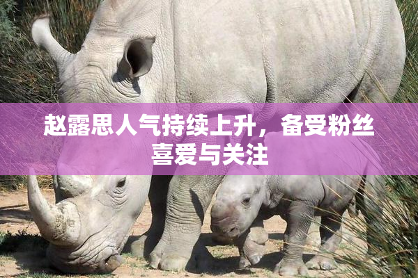 赵露思人气持续上升，备受粉丝喜爱与关注