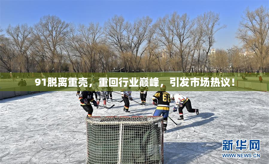 91脱离重壳，重回行业巅峰，引发市场热议！