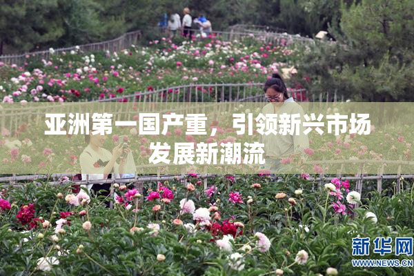 亚洲第一国产重，引领新兴市场发展新潮流