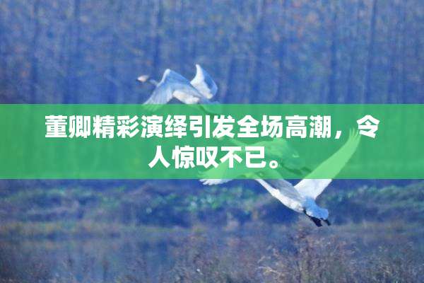 董卿精彩演绎引发全场高潮，令人惊叹不已。