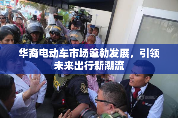 华裔电动车市场蓬勃发展，引领未来出行新潮流