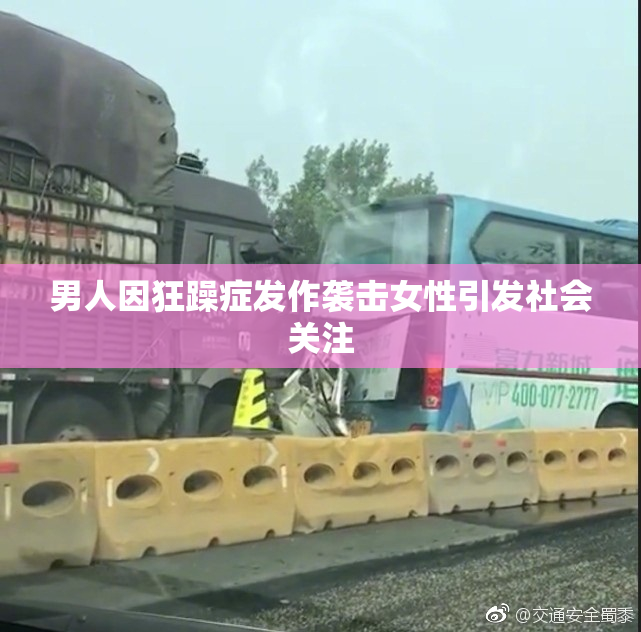 男人因狂躁症发作袭击女性引发社会关注