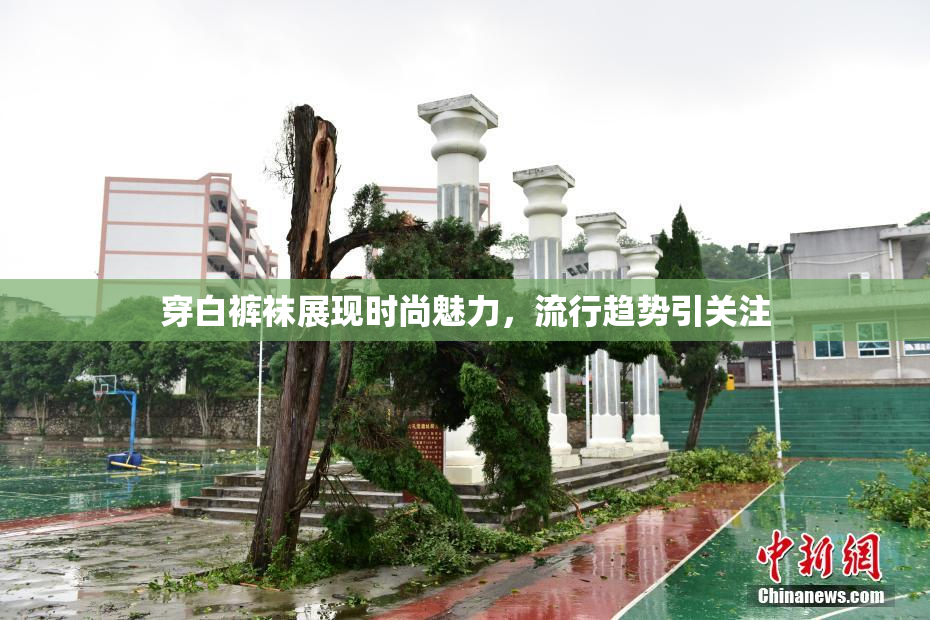 穿白裤袜展现时尚魅力，流行趋势引关注