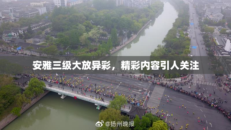安雅三级大放异彩，精彩内容引人关注