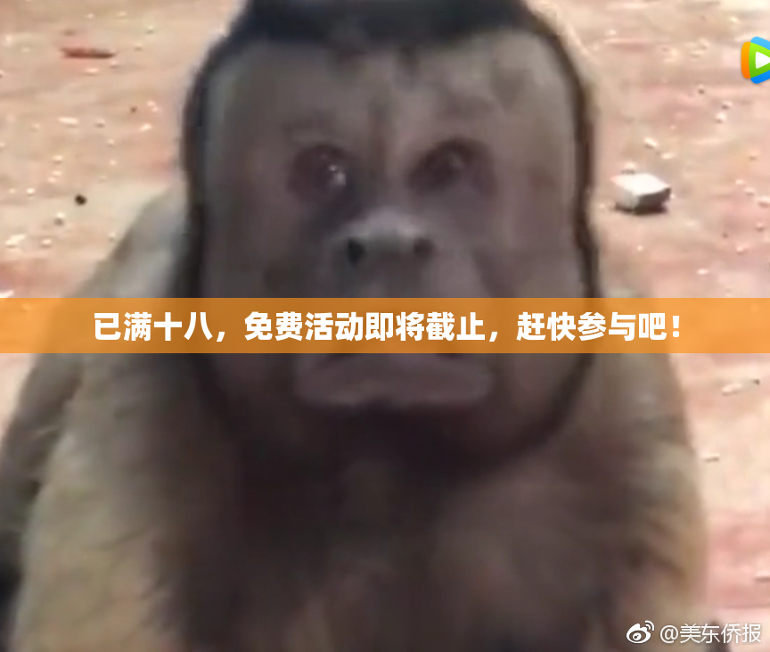 已满十八，免费活动即将截止，赶快参与吧！