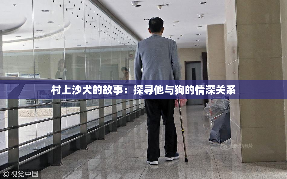 村上沙犬的故事：探寻他与狗的情深关系