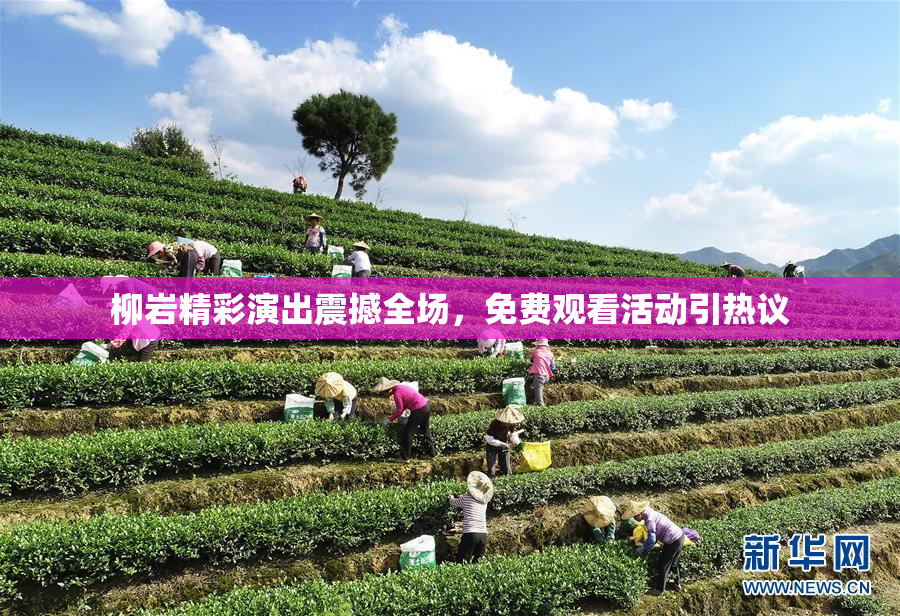 柳岩精彩演出震撼全场，免费观看活动引热议