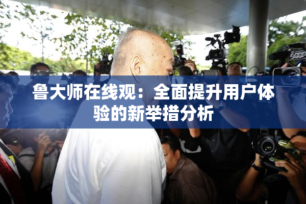 鲁大师在线观：全面提升用户体验的新举措分析