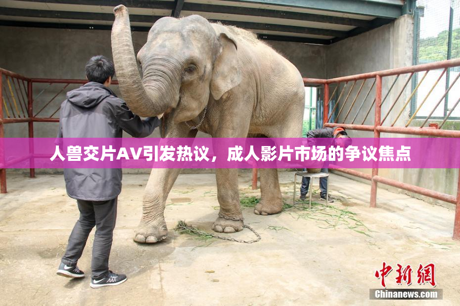 人兽交片AV引发热议，成人影片市场的争议焦点