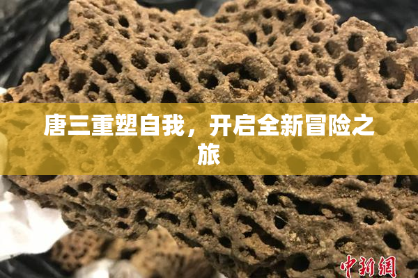 唐三重塑自我，开启全新冒险之旅