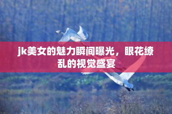 jk美女的魅力瞬间曝光，眼花缭乱的视觉盛宴