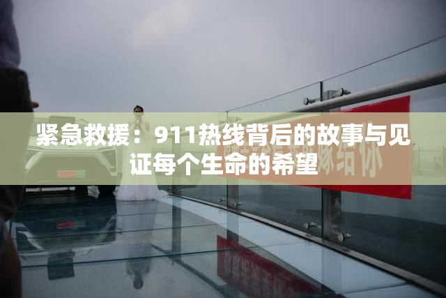 紧急救援：911热线背后的故事与见证每个生命的希望