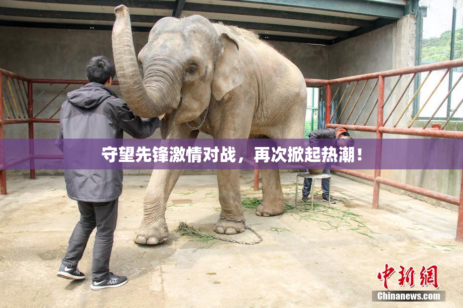 守望先锋激情对战，再次掀起热潮！