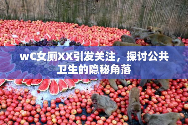 wC女厕XX引发关注，探讨公共卫生的隐秘角落