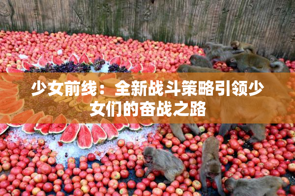 少女前线：全新战斗策略引领少女们的奋战之路