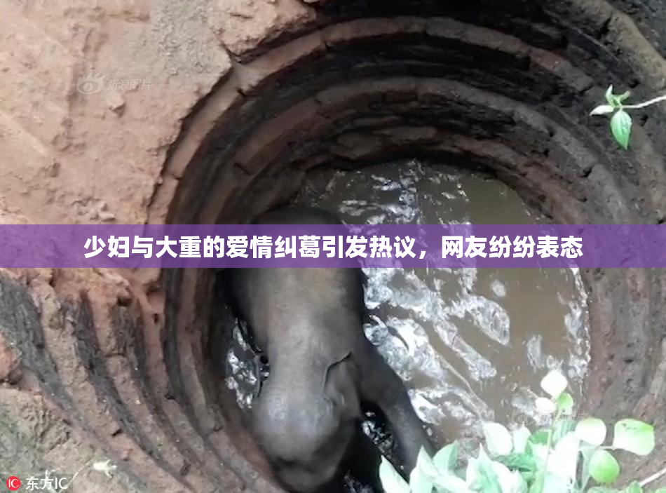 少妇与大重的爱情纠葛引发热议，网友纷纷表态