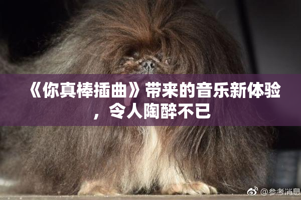 《你真棒插曲》带来的音乐新体验，令人陶醉不已