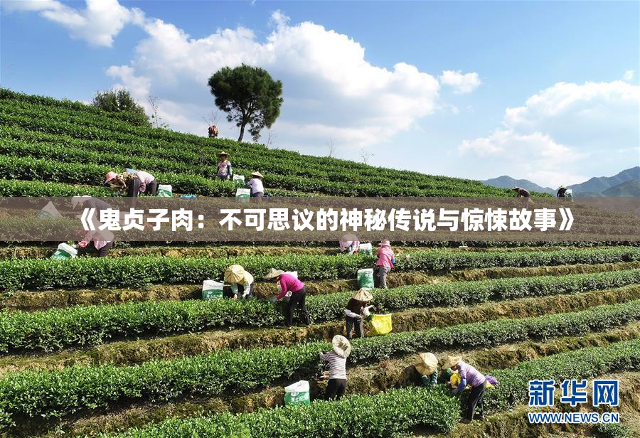 《鬼贞子肉：不可思议的神秘传说与惊悚故事》