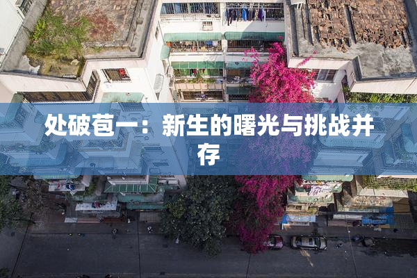 处破苞一：新生的曙光与挑战并存