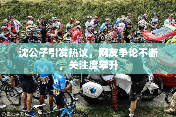 沈公子引发热议，网友争论不断，关注度攀升