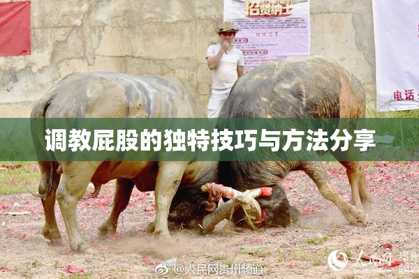 调教屁股的独特技巧与方法分享