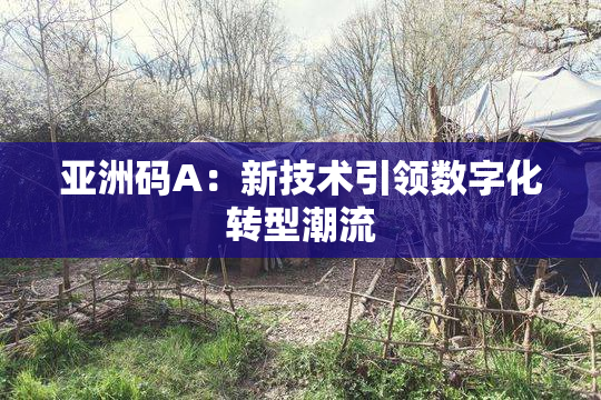 亚洲码A：新技术引领数字化转型潮流