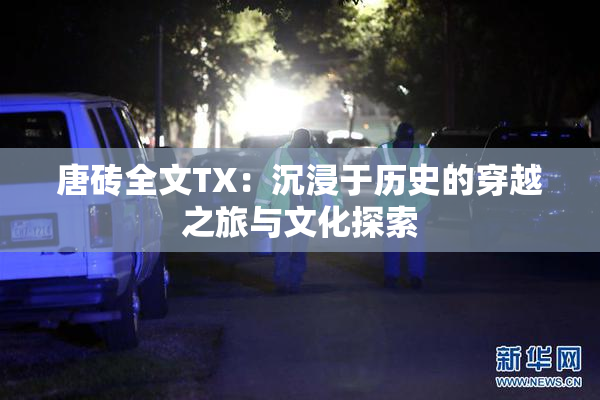 唐砖全文TX：沉浸于历史的穿越之旅与文化探索