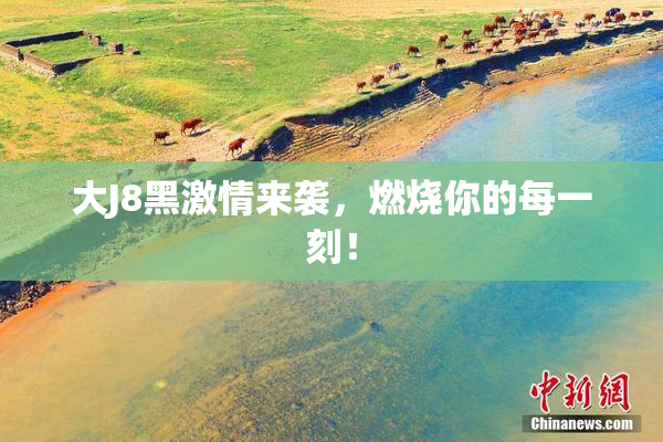 大J8黑激情来袭，燃烧你的每一刻！